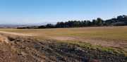 ALPILLES_21_01-2