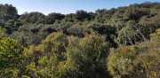 ALPILLES_21_01-25