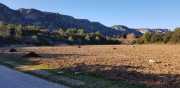 ALPILLES_21_01-4