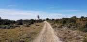 ALPILLES_21_01-44