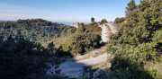 ALPILLES_21_01-49