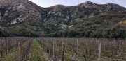 ALPILLES_21_01-5