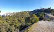 ALPILLES_21_01-54