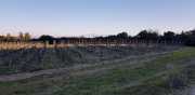 ALPILLES_21_01-6