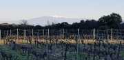 ALPILLES_21_01-7
