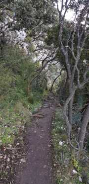 ALPILLES_21_01-87