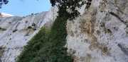 ALPILLES_21_01-95