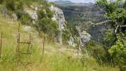 MAURICE_21_06-103