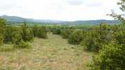 MAURICE_21_06-106
