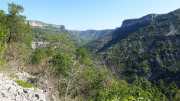 MAURICE_21_06-12