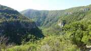 MAURICE_21_06-16
