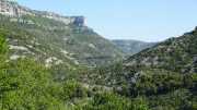 MAURICE_21_06-17