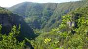 MAURICE_21_06-18
