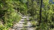 MAURICE_21_06-20