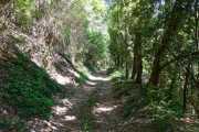 MAURICE_21_06-27