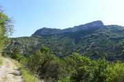 MAURICE_21_06-28