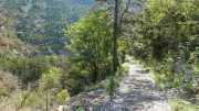 MAURICE_21_06-31