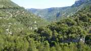 MAURICE_21_06-33