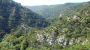 MAURICE_21_06-35