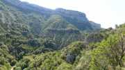 MAURICE_21_06-36