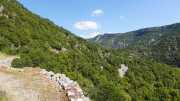 MAURICE_21_06-37