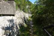 MAURICE_21_06-38