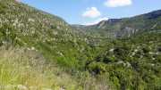 MAURICE_21_06-39