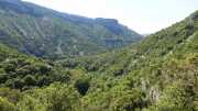 MAURICE_21_06-40