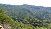 MAURICE_21_06-42