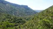 MAURICE_21_06-45