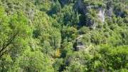 MAURICE_21_06-46