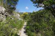 MAURICE_21_06-48