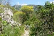 MAURICE_21_06-49