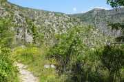 MAURICE_21_06-50