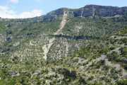 MAURICE_21_06-51
