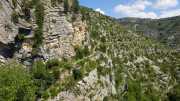 MAURICE_21_06-53
