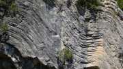 MAURICE_21_06-57