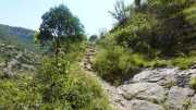 MAURICE_21_06-59
