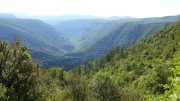 MAURICE_21_06-6