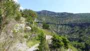 MAURICE_21_06-62