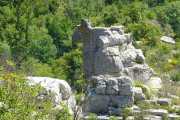 MAURICE_21_06-63