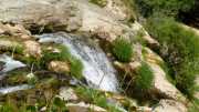 MAURICE_21_06-68
