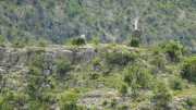 MAURICE_21_06-74