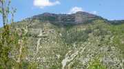 MAURICE_21_06-75