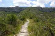 MAURICE_21_06-76