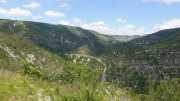 MAURICE_21_06-77