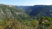 MAURICE_21_06-8