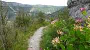 MAURICE_21_06-80