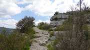 MAURICE_21_06-85