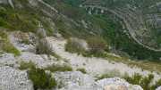 MAURICE_21_06-88